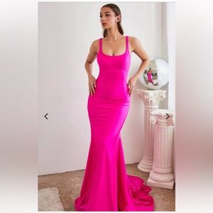 Ladivine Cinderella Low Back Fuschia Mermaid Dress with Flowing Train